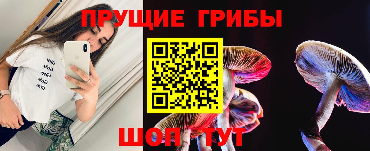Ачхой-Мартан  Псилоцибиновые грибы ЛСД  Вход с VPN 