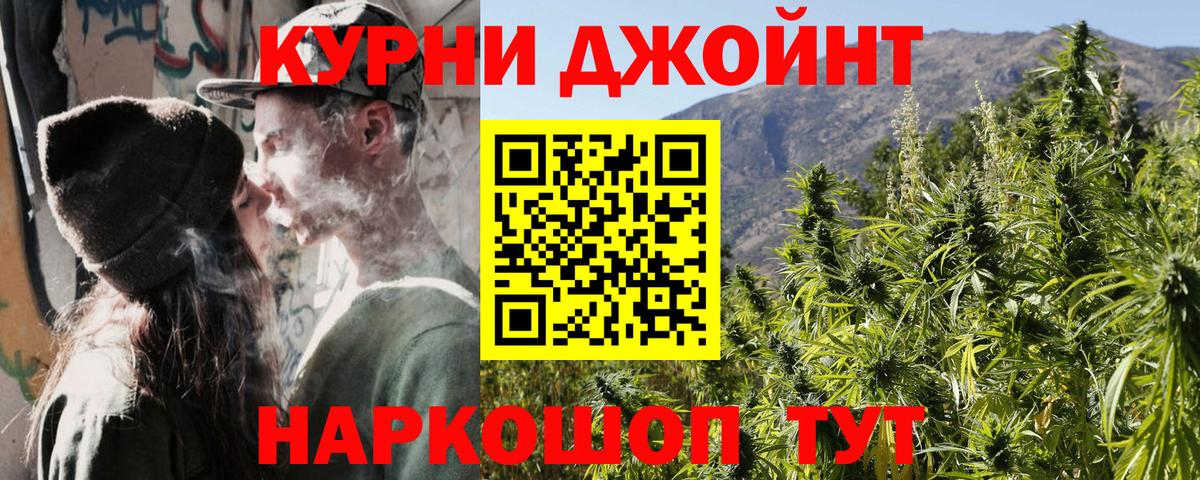 Конопля сатива Ачхой-Мартан